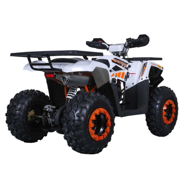 TaoTao G200 Utility ATV - Rear