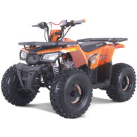 Rival MudHawk 10 ATV