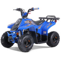 TaoTao Rock 110 ATV
