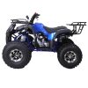 Tao TForce XR ATV - Left