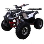 Tao TForce XR ATV - White
