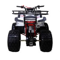 Tao TForce XR ATV - Rear