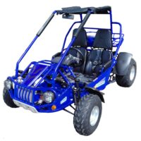 TrailMaster 300 XRS-E GoKart - Blue