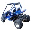 TrailMaster 300 XRS-E GoKart - rear view