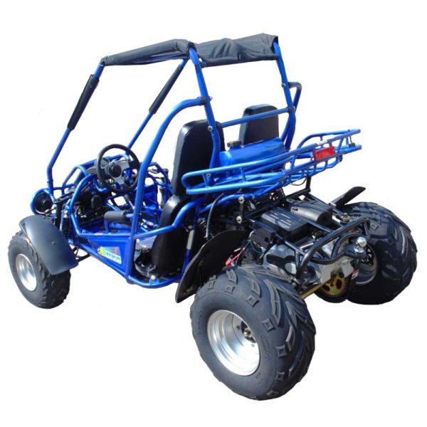 TrailMaster 300 XRS-E GoKart - rear view