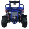 TrailMaster 300 XRX-E GoKart - rear view
