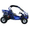 TrailMaster 300 XRX-E GoKart - right side view