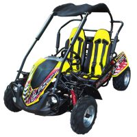 GoKarts