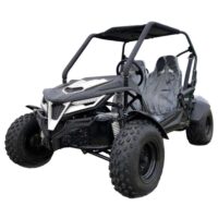 TrailMaster Cheetah 200 GoKart