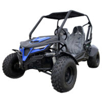 TrailMaster Cheetah 200E GoKart - Blue