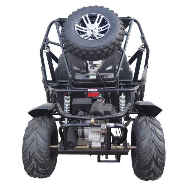 TrailMaster Cheetah 200EX GoKart - rear view