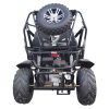 TrailMaster Cheetah 200X Full-size GoKart - back view