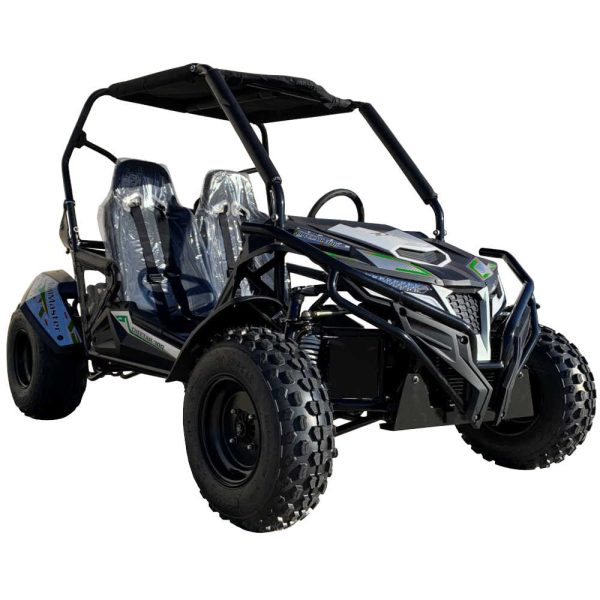 TrailMaster Cheetah 300E Full-Size Adult GoKart - Green