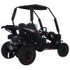 TrailMaster Cheetah 6 Kids GoKart - rear view