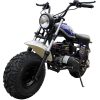TrailMaster Mini Bike Hurricane 200X -Blue