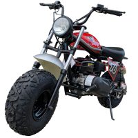 TrailMaster Mini Bike Hurricane 200X -Red