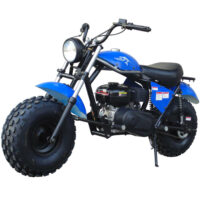 TrailMaster MB200-2 Mini Dirt Bike - Blue