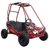 TrailMaster Mini XRS+ Kids GoKart