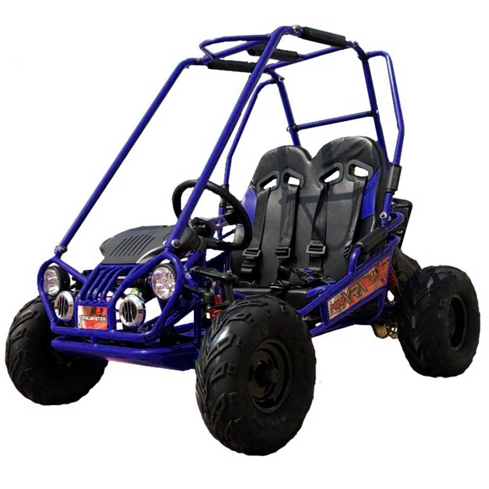 TrailMaster Mini XRX+ Kids GoKart - FamilyGoKarts.com