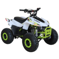 TrailMaster N110 Kids ATV