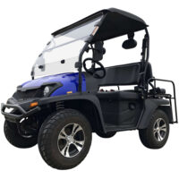 Trailmaster Taurus 200E GV UTV with EFI