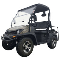 Trailmaster Taurus 200E GV UTV with EFI