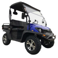 TrailMaster Taurus 200E U UTV with EFI