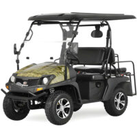 TrailMaster Taurus 200GX UTV