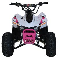 TrailMaster N110 Kids ATV - Front