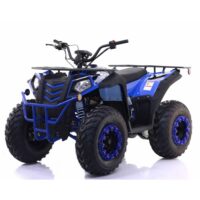 Vitacci Commander 200 EFI ATV