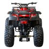 Vitacci Cougar Utility 125cc ATV - Burgundy Rear