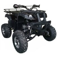 Vitacci Cougar Utility 200 ATV