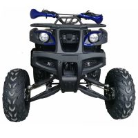 Vitacci Cougar Utility 200 ATV - Front