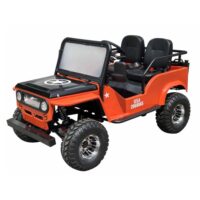 VItacci GR2 150cc GoKart