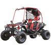 Vitacci Pathfinder 200 GoKart - Red