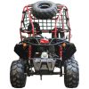 Vitacci Pathfinder 200 GoKart - rear view