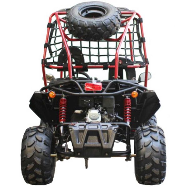 Vitacci Pathfinder 200 GoKart - rear view