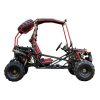 Vitacci Pathfinder 200 GoKart - side view