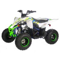 Vitacci Pentora 125 ATV with carburetor