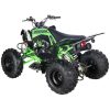 Vitacci Pentora 150 Sport - Green Rear