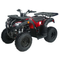 Vitacci Pentora 150 UT Utility ATV