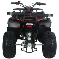 Vitacci Pentora 150 UT Utility ATV - Burgundy Rear