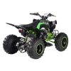 Vitacci Pentora 200 EFI ATV - Rear