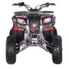 Vitacci Pentora 250 Utility ATV - Front