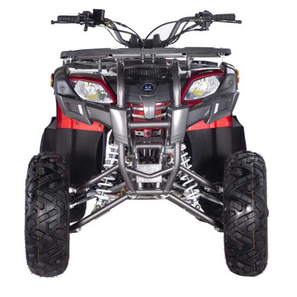 Vitacci Pentora 250 Utility ATV - Front