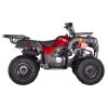 Vitacci Pentora 250 Utility ATV - Right