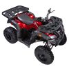 Vitacci Pentora 250 Utility ATV - Top