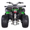 Vitacci Pentora 250 Utility ATV - Rear