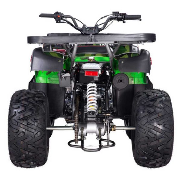 Vitacci Pentora 250 Utility ATV - Rear