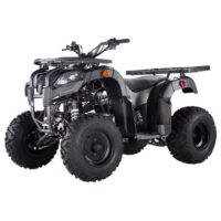 Vitacci Pentora 250 Utility ATV